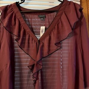 Never Worn Sheer Top